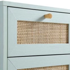 Frances Woven Rattan 1-Door Bathroom Cabinet, Mint -The Furniture Shop FT BAC 01 SAGE detail1