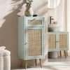 Frances Woven Rattan 1-Door Bathroom Cabinet, Mint -The Furniture Shop FT BAC 01 SAGE main